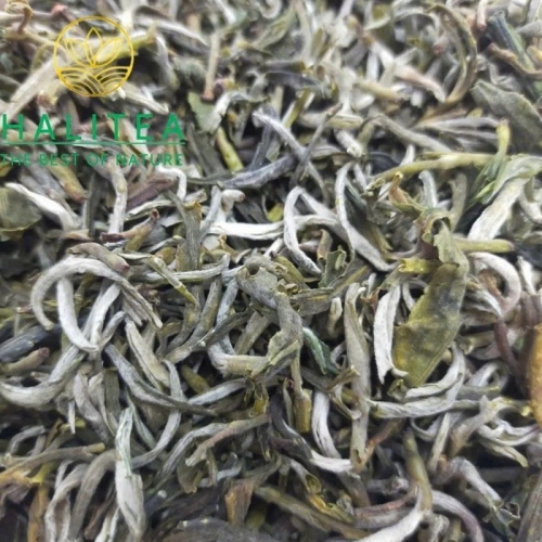 Lục Trà Shan Tuyết Cổ Thụ Đặc Cấp Tà Xùa – Hộp Hũ Sứ Cao Cấp HALITEA