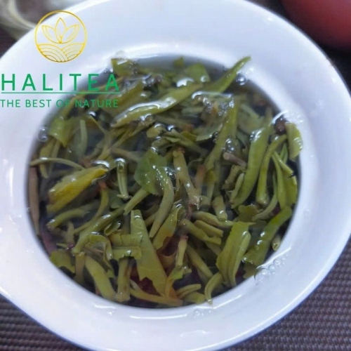 Lục Trà Shan Tuyết Cổ Thụ Đặc Cấp Tà Xùa – Hộp Hũ Sứ Cao Cấp HALITEA